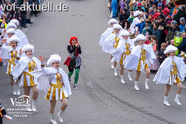 Foto Laudi_Pleintinger_Faschingszug-206171.jpg